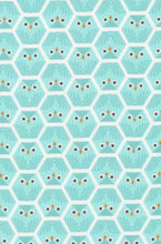 Load image into Gallery viewer, "Barney" Owls - Baby Carrier